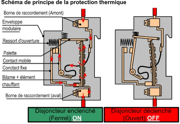 Vue de coupe d'un disjoncteur pour explication du principe de la protection thermique